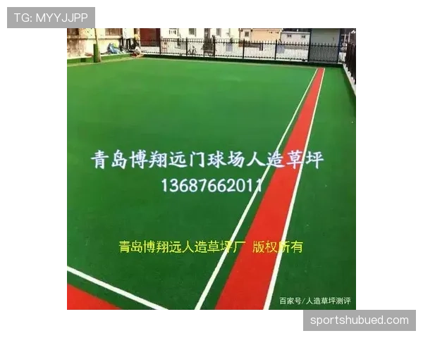 2026世界杯草坪标准规则有哪些 2026世界杯草坪标准规则有哪些